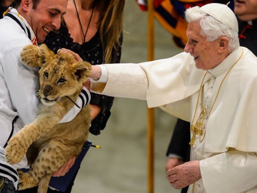 pope-benedict-xvi-with-very-large-cat