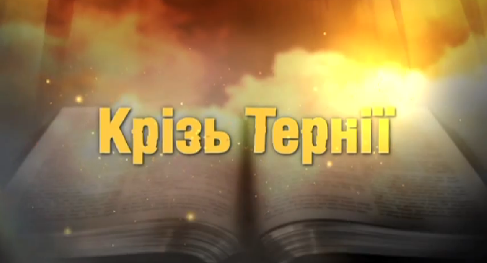 Крізь тернії