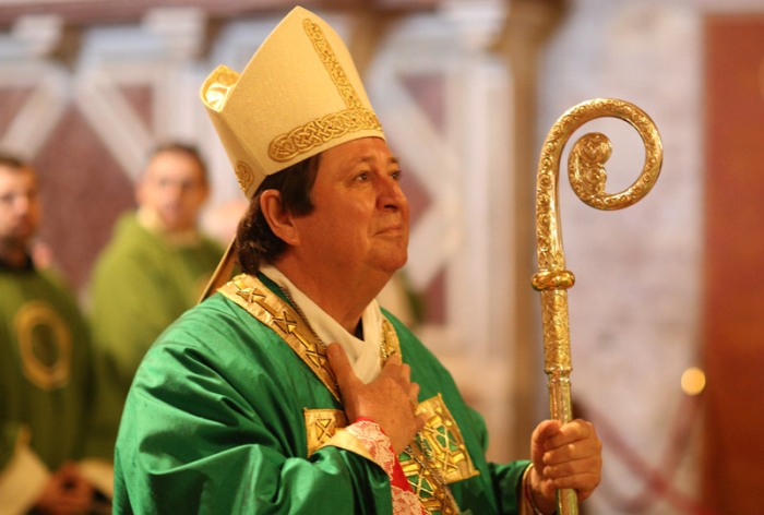 кардинал Брас де Авіс