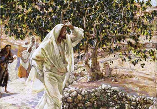 Ісус і смоківниця