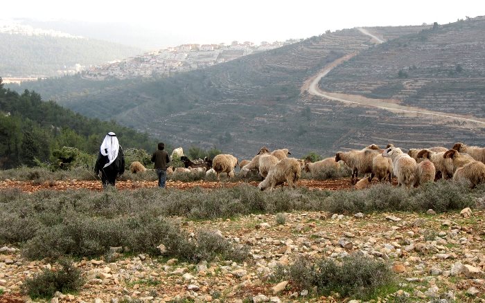 пастухи в горах
