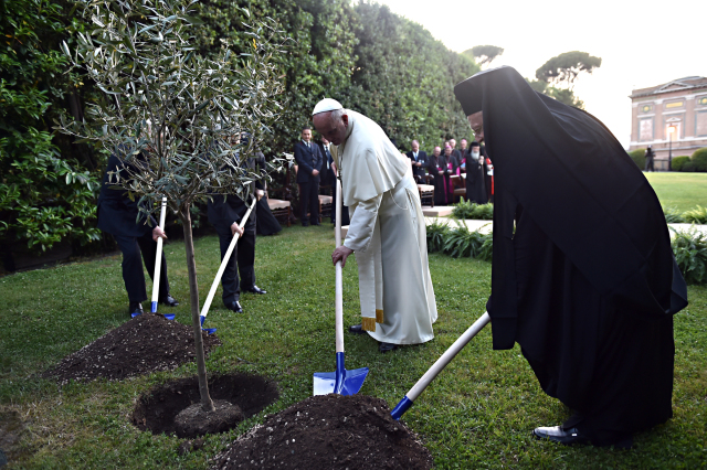 Middle East presidents, church leaders plant olive tree after invocation for peace in Vatican Gardens