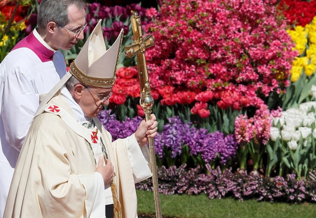 Папа квіти