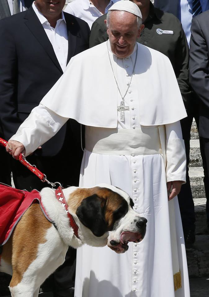 Папа і сенбернар
