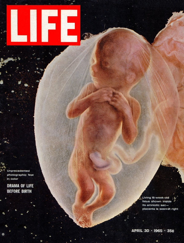 life 1965